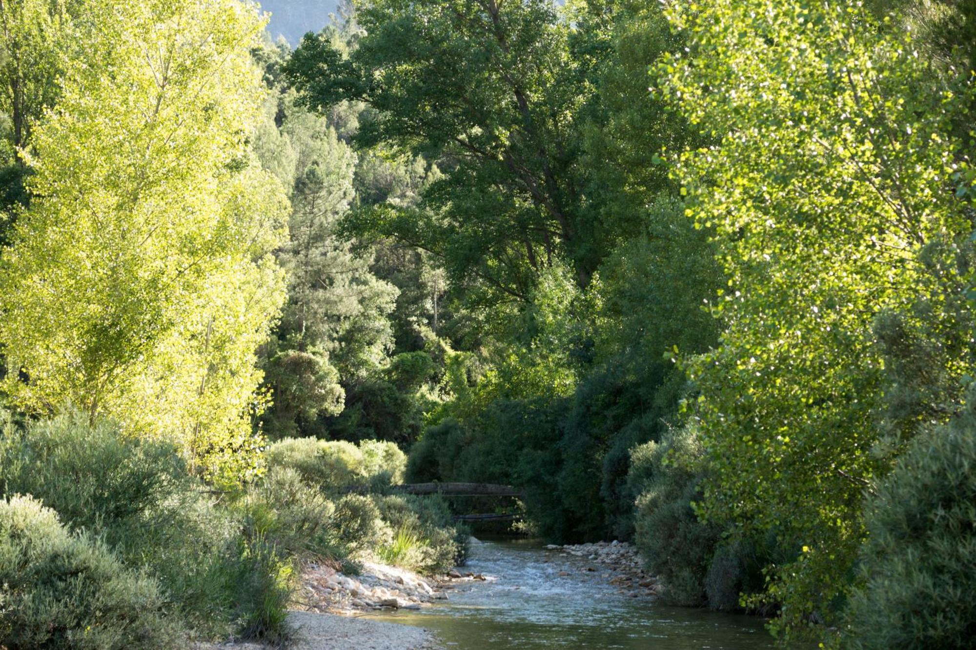 Casas Rurales Vado Del Rio Tus Cortijo Prados Buitenkant foto