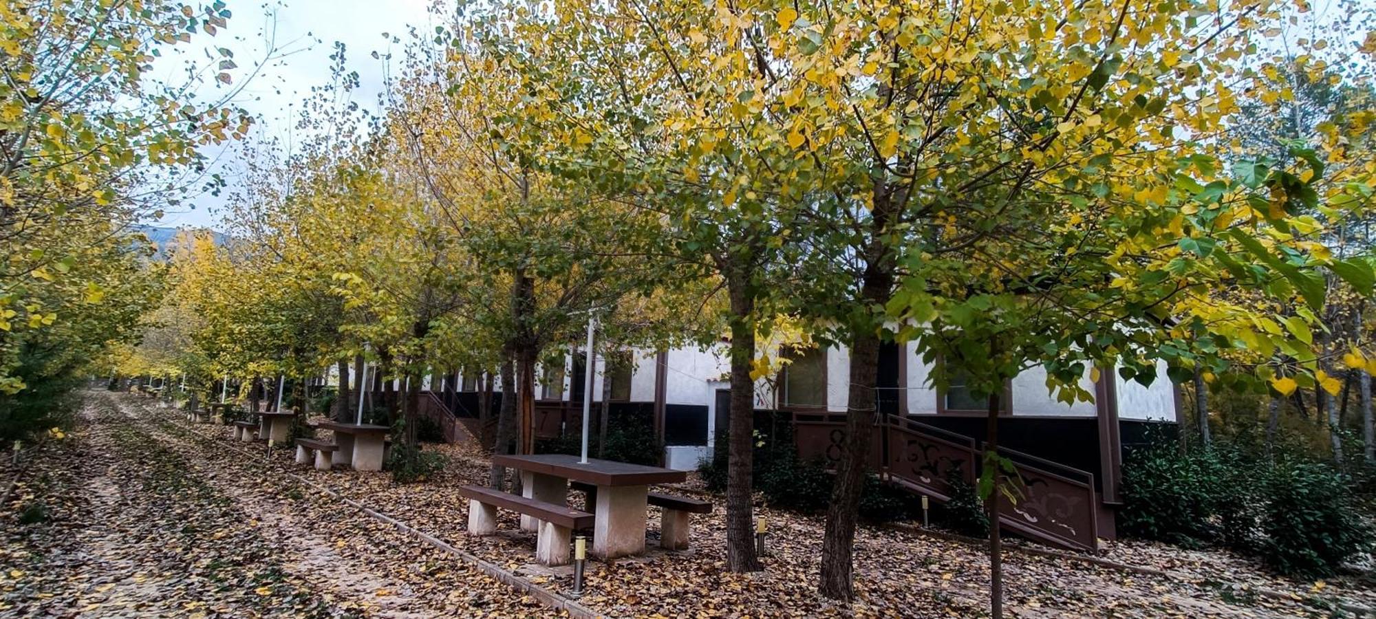 Casas Rurales Vado Del Rio Tus Cortijo Prados Buitenkant foto