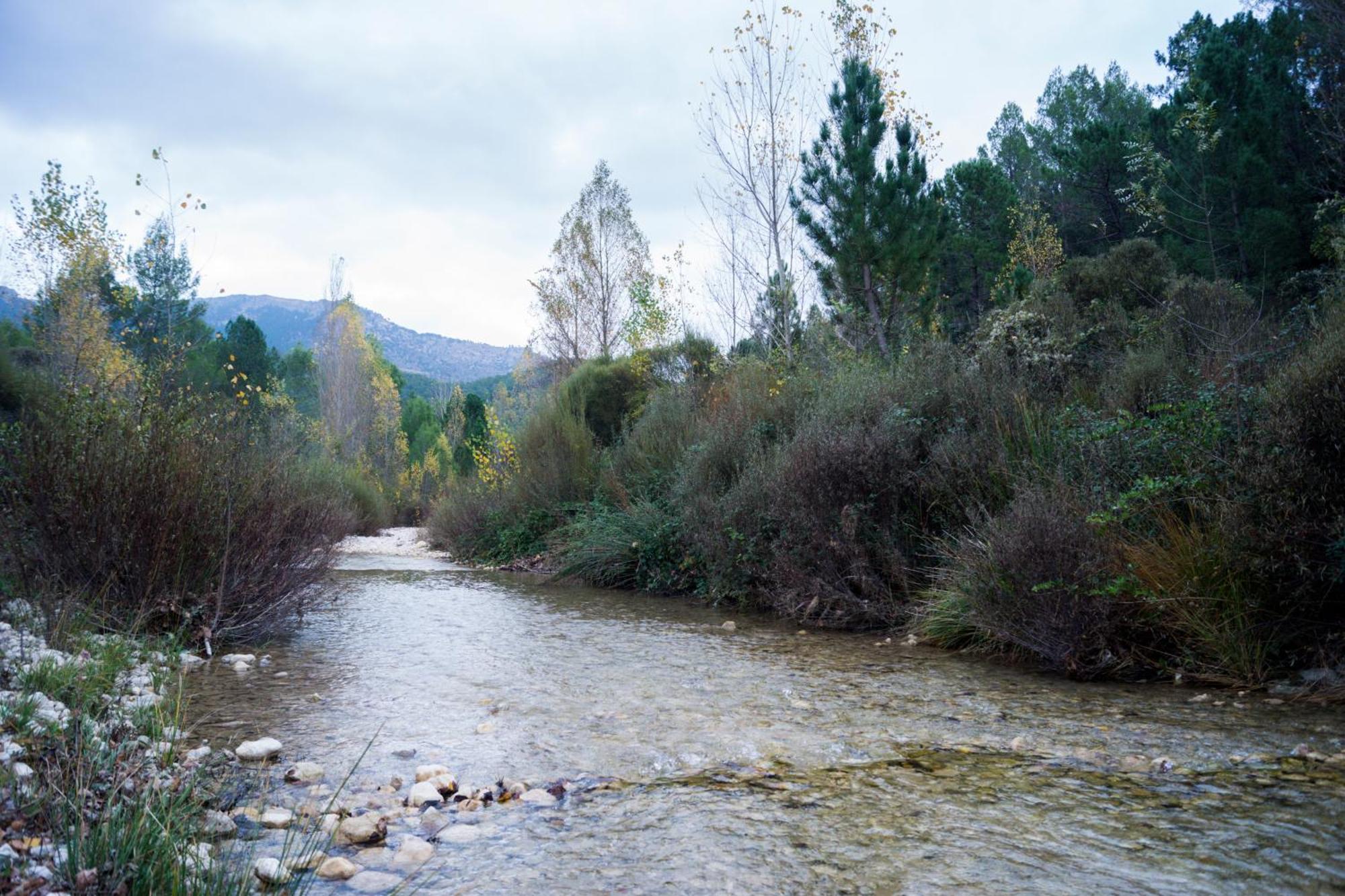 Casas Rurales Vado Del Rio Tus Cortijo Prados Buitenkant foto
